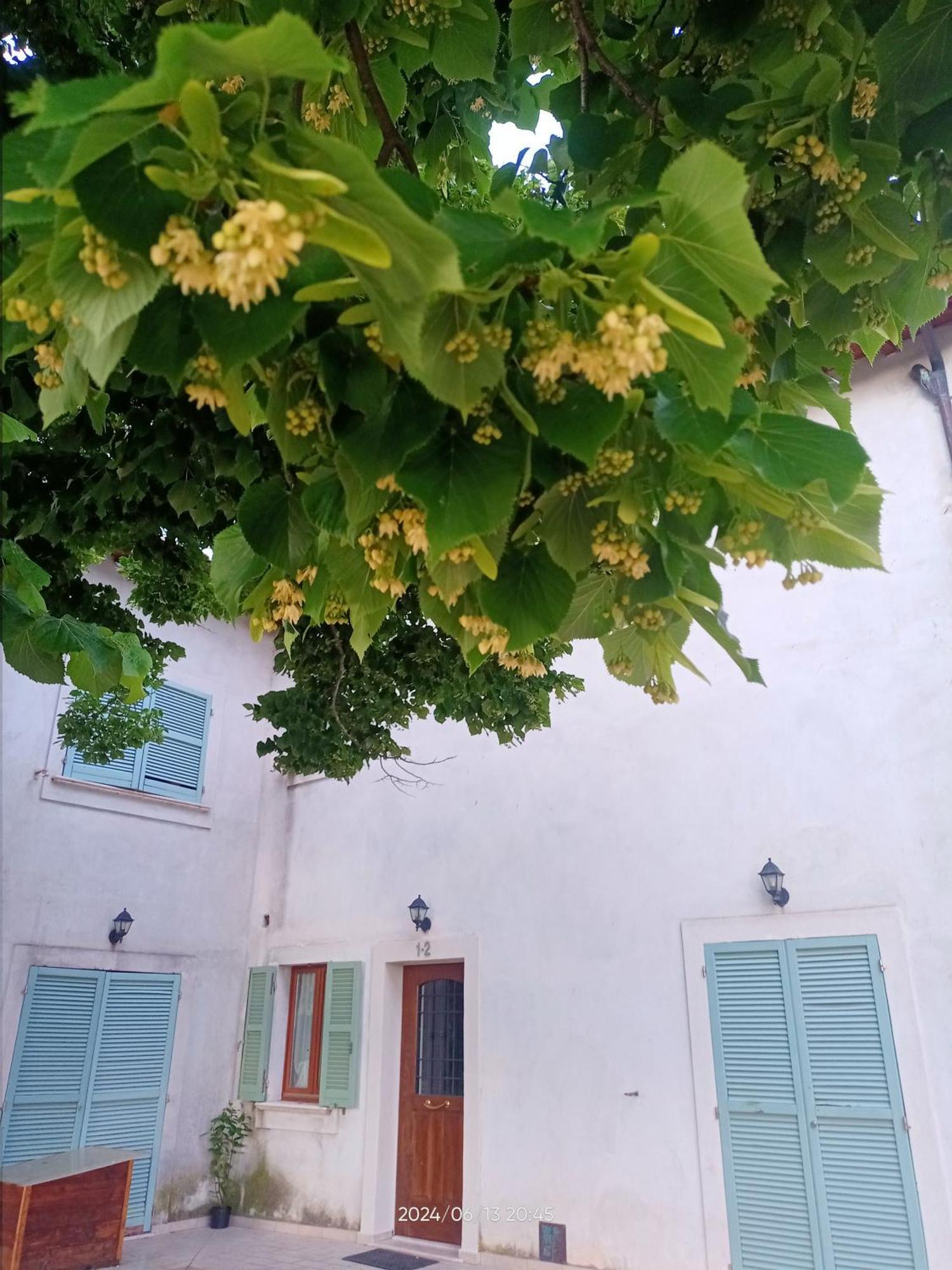 Agriturismo San Martino Φολίνιο Εξωτερικό φωτογραφία