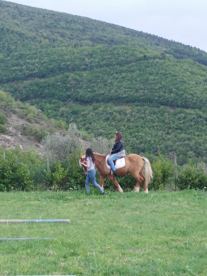 Agriturismo San Martino Φολίνιο Εξωτερικό φωτογραφία