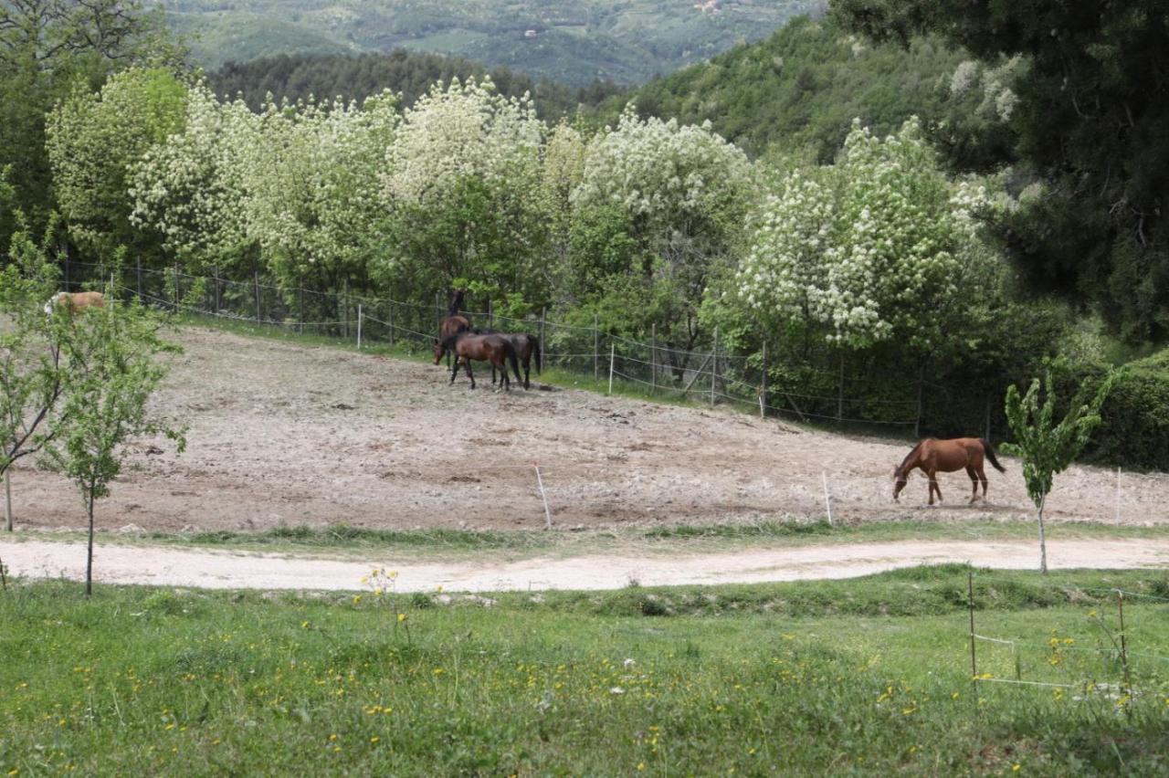Agriturismo San Martino Φολίνιο Εξωτερικό φωτογραφία