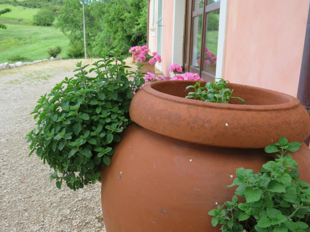 Agriturismo San Martino Φολίνιο Εξωτερικό φωτογραφία
